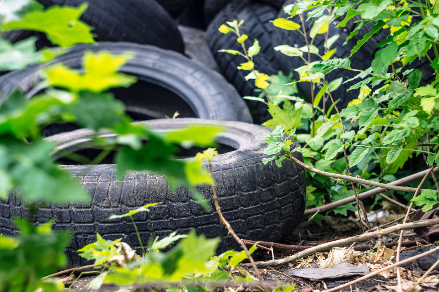 Legislazione su sicurezza e ambiente tutte le novità più recenti