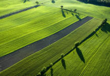 Agricoltura e ambiente