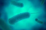 Stop alla legionella