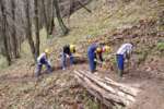 Operatori forestali formazione